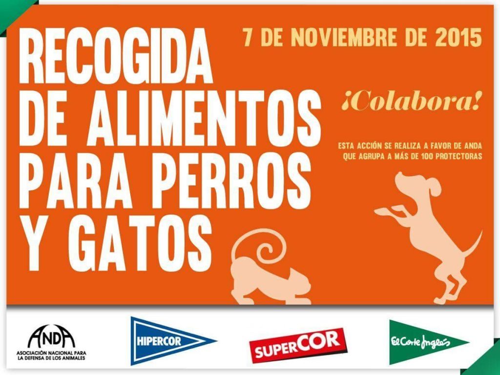 RECOGIDA DE ALIMENTOS, noviembre 2015.