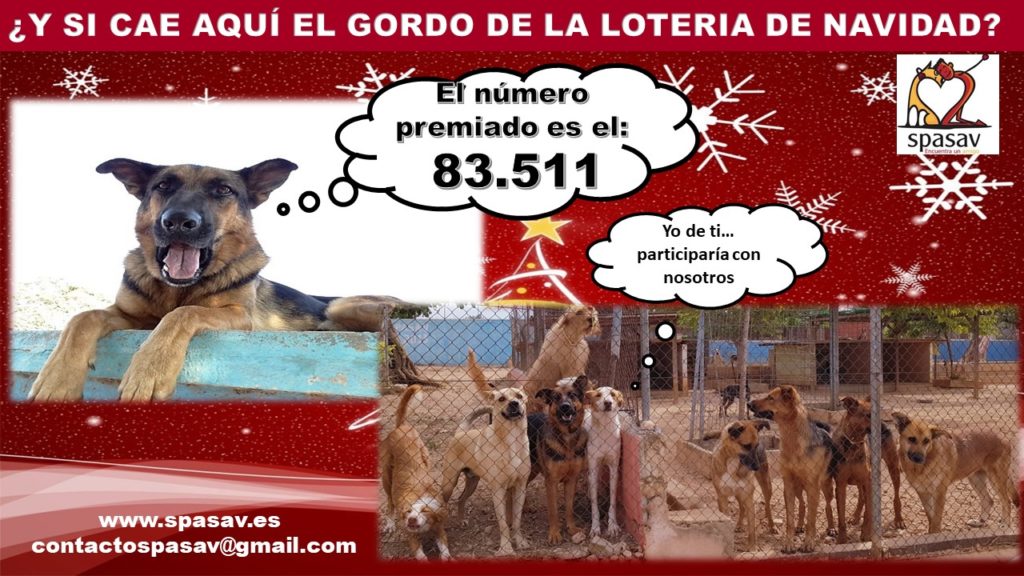 Lotería Navidad