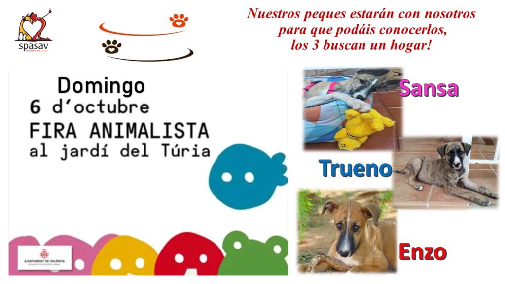 Feria animalista