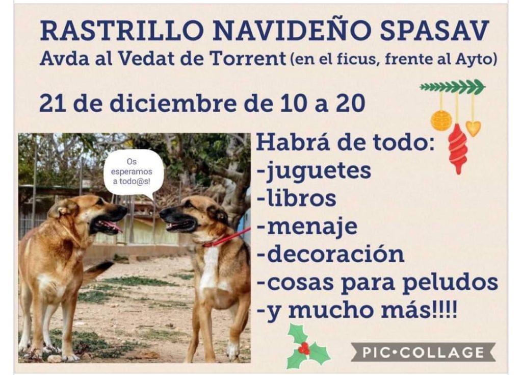 Rastrillo Navideño 2019