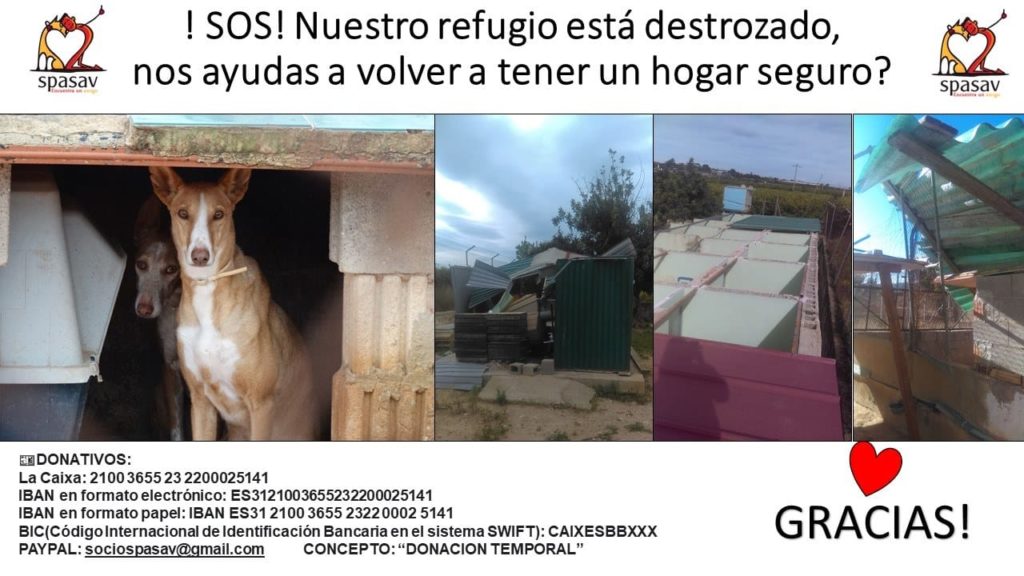 !SOS¡ Ayuda por temporal