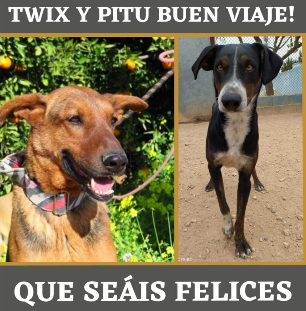 TWIX, PITU